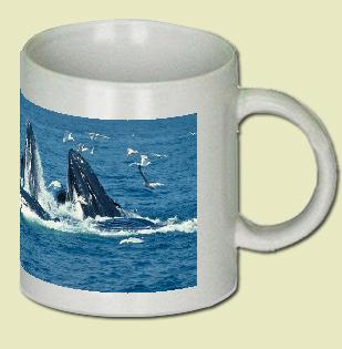 Humpback Whale Coffee Mug