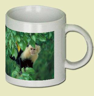 White-faced Monkey Coffee Mug