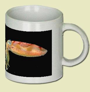 Atlantic Oval Squid Coffee Mug