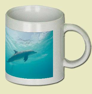 Bottle-nosed Dolphin Coffee Mug