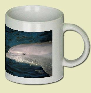 Bottle-nosed Dolphin Coffee Mug