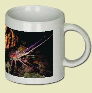 Caribbean Spiny Lobster Coffee Mug