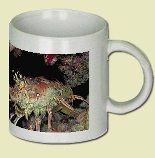 Caribbean Spiny Lobster Coffee Mug