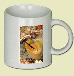 Green Moray Eel Coffee Mug