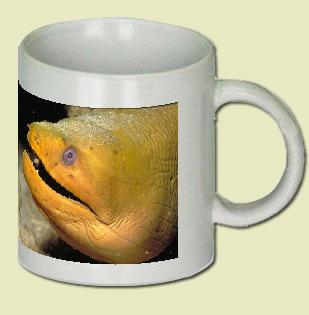 Green Moray Eel Coffee Mug