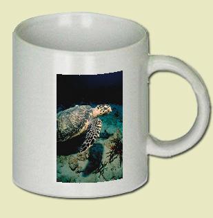 Hawksbill Turtle Coffee Mug