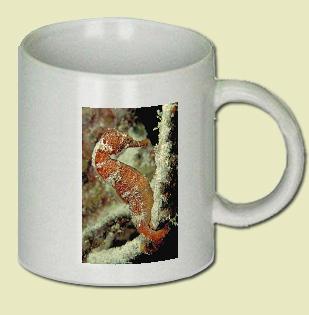 Orange Sea Horse Coffee Mug