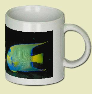 Queen Angelfish Coffee Mug