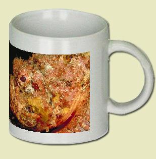 Stonefish Coffee Mug