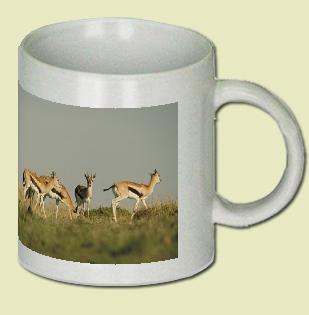 Thomson's Gazelle Coffee Mug