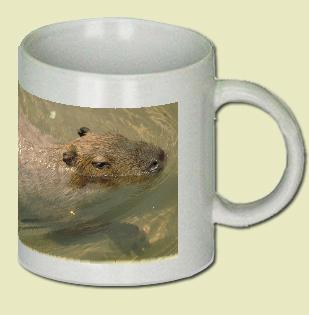 Capybara Coffee Mug