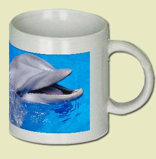 Dolphin Coffee Mug