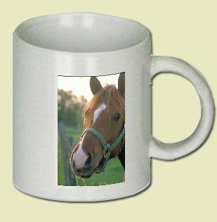 Horse Coffee Mug