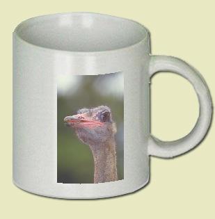 Ostrich Coffee Mug