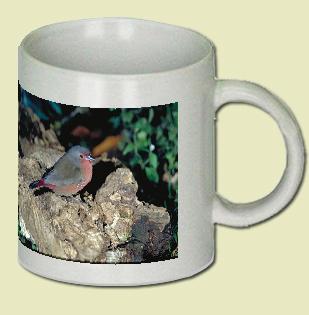 Bluebilled Firefinch Coffee Mug