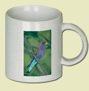 Broadbilled Roller Coffee Mug