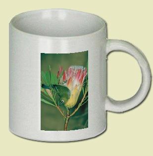 Cape White-Eye Coffee Mug