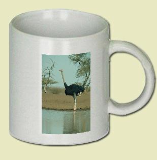 Ostrich Coffee Mug