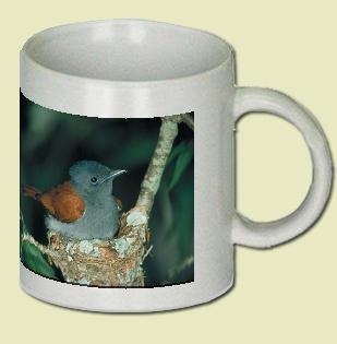 Paradise Flycatcher Coffee Mug