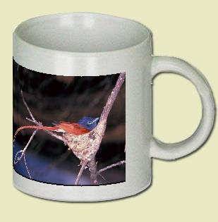 Paradise Flycatcher Coffee Mug