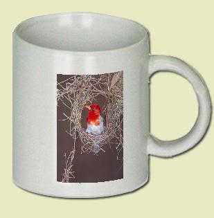 Redheaded Weaver Coffee Mug