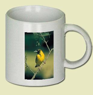 Spottedbacked Weaver Coffee Mug