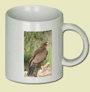 Wahlberg's Eagle Coffee Mug