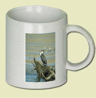 Whitebreasted Cormorant Coffee Mug