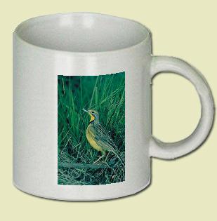 Yellowthroated Longclaw Coffee Mug