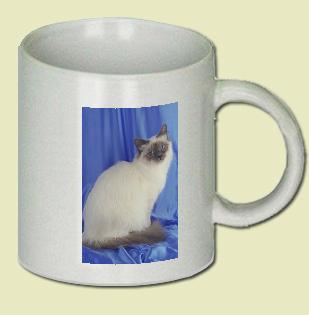 Birman Coffee Mug