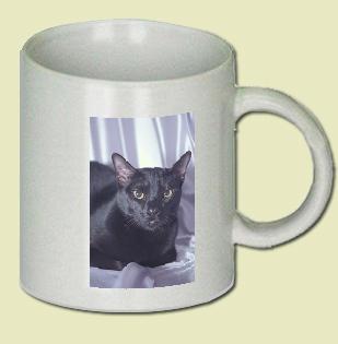 Bombay Coffee Mug