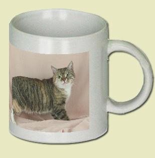 Manx Coffee Mug