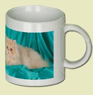 Persian Coffee Mug