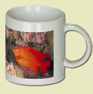 Garibaldi Fish Coffee Mug