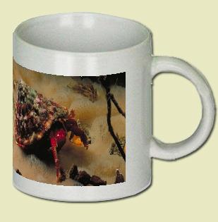 Hermit Crab Coffee Mug