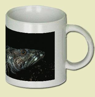 Lingcod Fish Coffee Mug