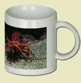 Spiny Lobster Coffee Mug