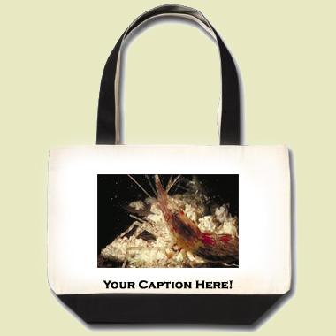 Coonstripe Shrimp Tote Bag