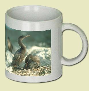 Flightless Cormorant Coffee Mug