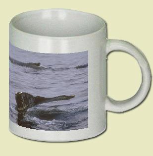 Humpback Whale Coffee Mug