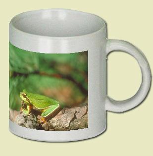 Pine Barrens Tree Frog Coffee Mug