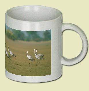 Wattled Crane Coffee Mug