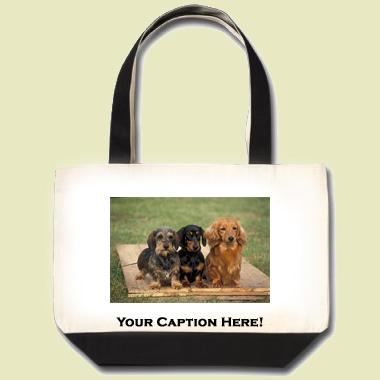 Dachshund Tote Bag