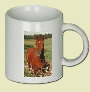 American saddlebred Coffee Mug