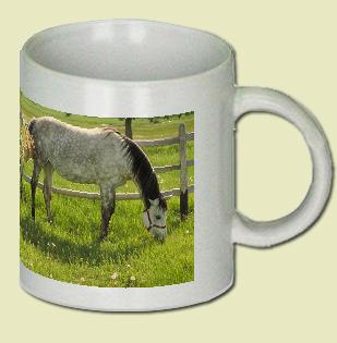 Horse Coffee Mug