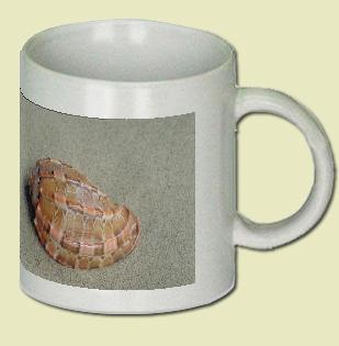 Swollen harp Coffee Mug