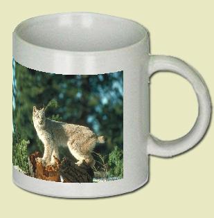 Canada Lynx Coffee Mug