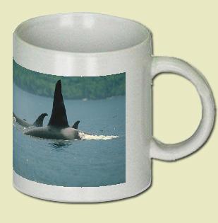 Killer Whale Coffee Mug