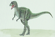 Allosaurus Magnet