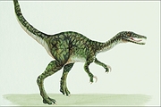 Baryonyx Magnet